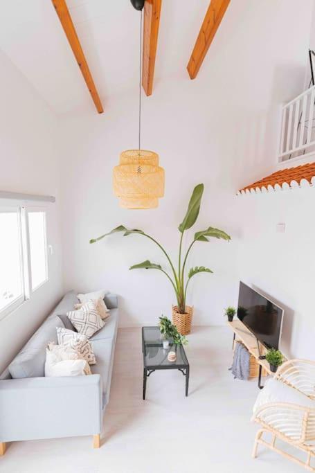 Villa Unique Loft à Dehesa de Campoamor  Extérieur photo
